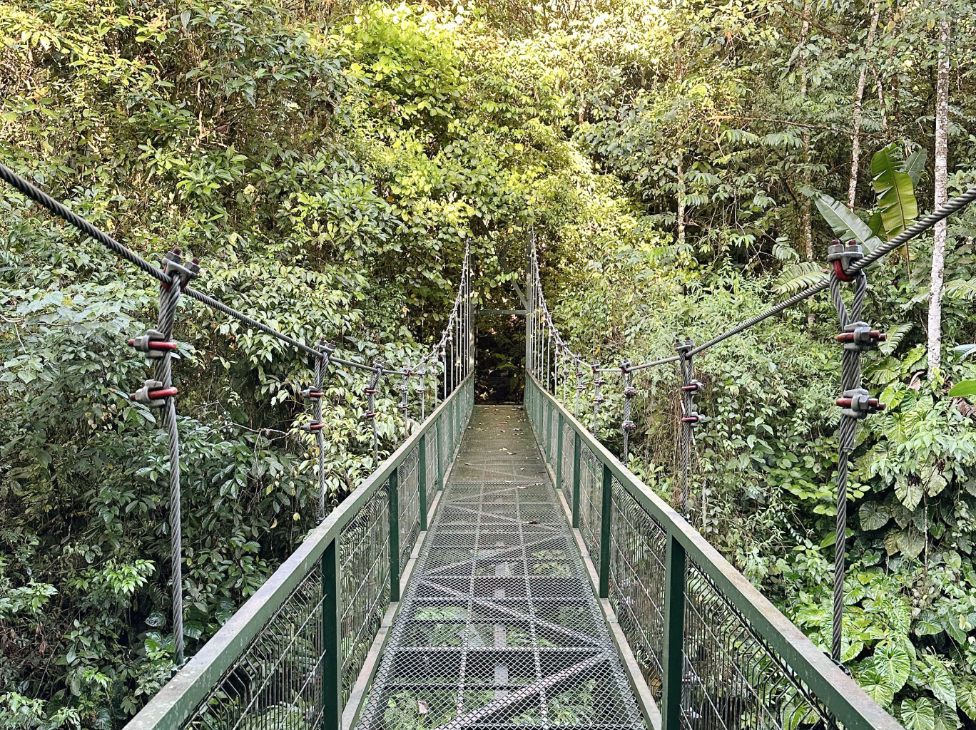 A bridge on a solo hike in Costa Rica